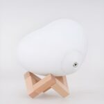 Illuminate Your Love – Custom Heart-Shaped 3D Moon Lamp – A Tender Glow for Cherished Moments - Image 7