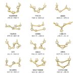 Embrace the Stars – Crystal Zodiac Constellation Necklace – A Timeless Treasure for Her - Image 5