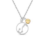 Embrace Your Starry Story – Birthstone Zodiac Necklace – A Timeless Celebration for Loved Ones - Image 2