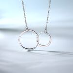 Intertwined Hearts – Sterling Silver Double Circle Necklace – Celebrate Your Unbreakable Bond - Image 2