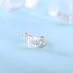 Carry Your Loved Ones Close – Silver Name Ring with Multiple Names – A Cherished Token for Every Story - Image 4