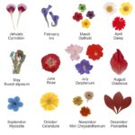 Embrace Your Birth Month’s Bloom – Birth Flower Drop Necklace – A Cherished Keepsake for Her - Image 6