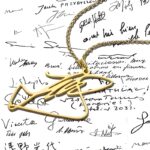 Carry Your Story – Signature Name Necklace – A Timeless Treasure for Loved Ones - Image 3