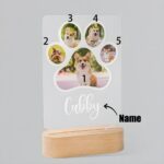 Illuminate Their Memory – Custom Pet Portrait Night Light – A Heartfelt Tribute for Cherished Pet Lovers - Image 5