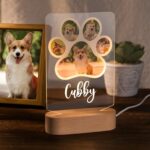 Custom pet portrait night light illuminating cherished memories