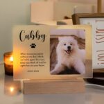 Hold Their Light Forever – Illuminated Pet Memorial Plaque – A Loving Tribute for Cherished Companions - Image 2