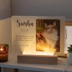 Hold Their Light Forever – Illuminated Pet Memorial Plaque – A Loving Tribute for Cherished Companions - Image 3