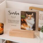 Hold Their Light Forever – Illuminated Pet Memorial Plaque – A Loving Tribute for Cherished Companions - Image 4