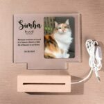 Hold Their Light Forever – Illuminated Pet Memorial Plaque – A Loving Tribute for Cherished Companions - Image 6