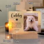 Hold Their Light Forever – Illuminated Pet Memorial Plaque – A Loving Tribute for Cherished Companions - Image 7