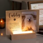 Illuminated pet memorial plaque for cherished companions