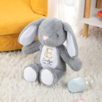 Welcome Little Ones with a Personalized Bunny Plush Toy – Soft Cuddly Keepsake with Initial & Name for Easter, Baby Showers, and Newborn Gifts - Image 7