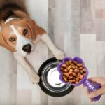 Celebrate Every Meal – Custom Dog Food Scoop with Paw Print – For Cherished Pets and Their Devoted Owners - Image 3
