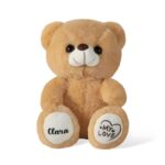 Embrace Her Dance Dreams – Custom Ballerina Teddy Bear Keepsake for Little Girls’ Special Moments - Image 8