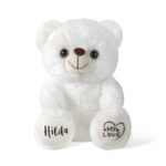 Embrace Her Dance Dreams – Custom Ballerina Teddy Bear Keepsake for Little Girls’ Special Moments - Image 10