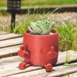 Celebrate Bold Whimsy – Playful Succulent Planter with Cheeky Charm – For Fun-Loving Spaces and Unique Gifts - Image 2