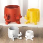 Celebrate Bold Whimsy – Playful Succulent Planter with Cheeky Charm – For Fun-Loving Spaces and Unique Gifts - Image 3