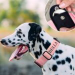 Keep Your Best Friend Close – Custom Nylon Dog Collar with AirTag Pocket – For Loving Pet Parents - Image 3