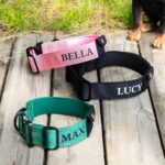 Keep Your Best Friend Close – Custom Nylon Dog Collar with AirTag Pocket – For Loving Pet Parents - Image 4