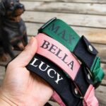 Keep Your Best Friend Close – Custom Nylon Dog Collar with AirTag Pocket – For Loving Pet Parents - Image 6