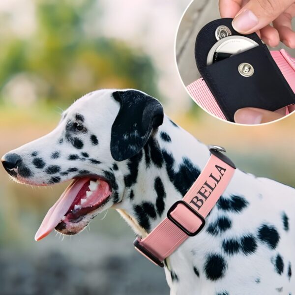 Custom dog collar with AirTag pocket for pet lovers