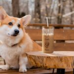 Savor Every Sip – Custom Pet Portrait Glass Tumbler – For Cherished Moments with Your Beloved Companion - Image 2