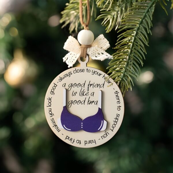 Personalized bra ornament for friends, celebrating friendship