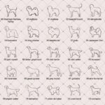 Carry Their Silhouette Close – Custom Pet Memorial Necklace – For Heartfelt Remembrance and Comfort - Image 11