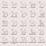 Carry Their Silhouette Close – Custom Pet Memorial Necklace – For Heartfelt Remembrance and Comfort - Image 12