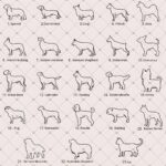 Carry Their Silhouette Close – Custom Pet Memorial Necklace – For Heartfelt Remembrance and Comfort - Image 9