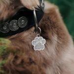 Carry Their Identity with Love – Custom Pet ID Tag – For Cherished Dogs and Cats - Image 6