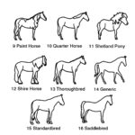 Carry Their Spirit Close – Sterling Silver Horse Necklace – For Those Who Cherish Equine Bonds - Image 8