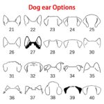 Celebrate Your Bond – Custom Dog Ear Glass Can with Bamboo Lid – For Cherished Dog Moms & Dads - Image 8