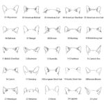 Carry Your Pet's Spirit – Custom Name Ear Keychain – For Dog Moms & Cat Lovers - Image 8