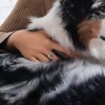 Carry Their Memory Close – Sterling Silver Pet Photo Ring – A Tender Tribute for Cherished Companions - Image 8