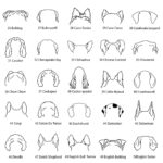 Celebrate Your Furry Bond – Custom Pet Mom & Dad Sweatshirt – For Every Cherished Pet Lover - Image 11