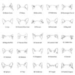 Celebrate Your Furry Bond – Custom Pet Mom & Dad Sweatshirt – For Every Cherished Pet Lover - Image 12