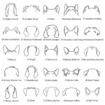 Celebrate Your Furry Bond – Custom Pet Mom & Dad Sweatshirt – For Every Cherished Pet Lover - Image 9