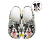 Custom pet face clogs celebrating your furry friend
