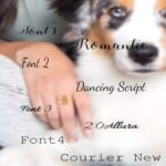 Carry Their Love Close – Engraved Paw Print Memorial Ring – For Cherished Pet Lovers and Owners - Image 12