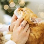 Carry Their Love Close – Engraved Paw Print Memorial Ring – For Cherished Pet Lovers and Owners - Image 4