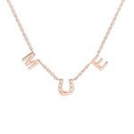 Embrace Fortune and Love – Custom Initials Horseshoe Necklace – For Cherished Moments and Loved Ones - Image 10