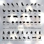 Carry Their Love Forever – Custom Pet Initial Ring – A Tender Tribute for Cherished Companions - Image 11