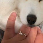 Carry Their Love Forever – Custom Pet Initial Ring – A Tender Tribute for Cherished Companions - Image 9