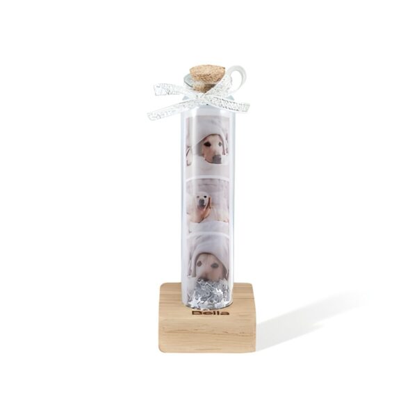 Pet photo memorial gift in a glass bottle