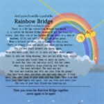 Carry Their Rainbow Spirit – Memorial Pet Necklace – A Loving Tribute for Cherished Companions - Image 9