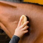 Honor the Bond – Custom Engraved Horse Grooming Brush – For Cherished Equestrian Friends - Image 8