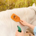 Honor the Bond – Custom Engraved Horse Grooming Brush – For Cherished Equestrian Friends - Image 9