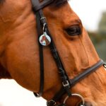 Keep Your Beloved Close – Custom Horse ID Tag – For Every Equestrian’s Peace of Mind - Image 11