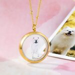 Carry Their Memory Close – Custom Pet Fur Urn Necklace with Photo & Name – For Cherished Pet Lovers - Image 5